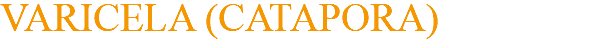 VARICELA (CATAPORA)